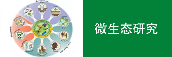 微生態研究